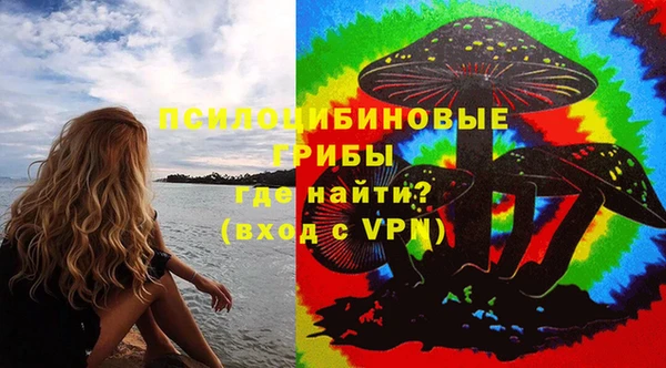 эйфоретик Белокуриха