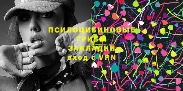 эйфоретик Белокуриха