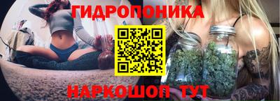 стафф Бердск