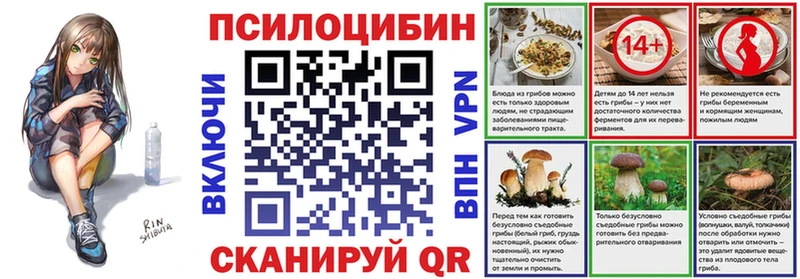 Псилоцибиновые грибы Psilocybe  Видное 