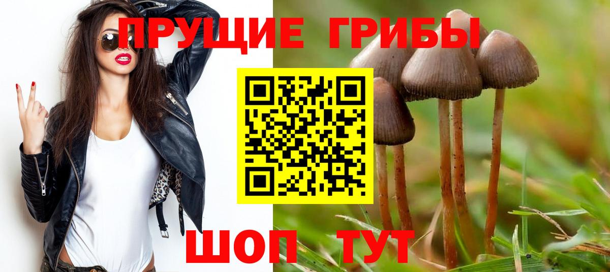 Псилоцибиновые грибы мицелий Видное