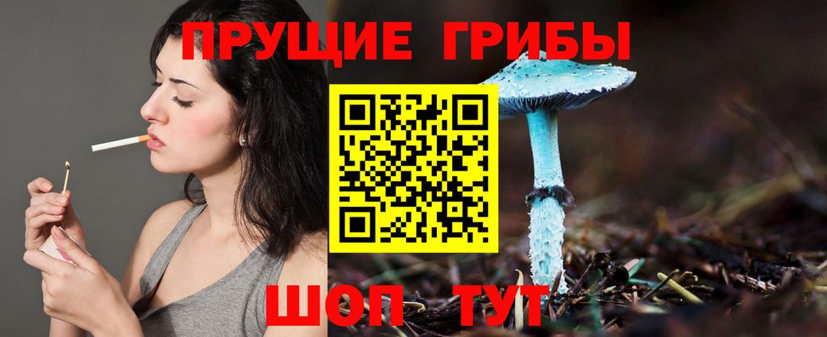 Видное  Галлюциногенные грибы ЛСД  Псилоцибиновые грибы Magic Shrooms  Вход с VPN 